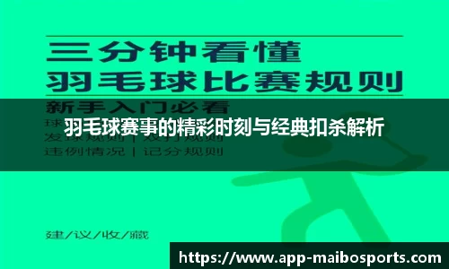 迈博体育平台